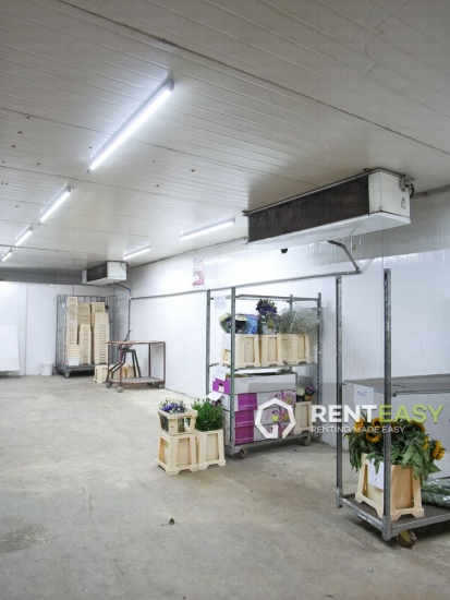 Spatiu Comercial in Valea Lupului de Inchiriat