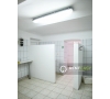 Spatiu pentru Productie de Inchiriat in Copou - Sararie