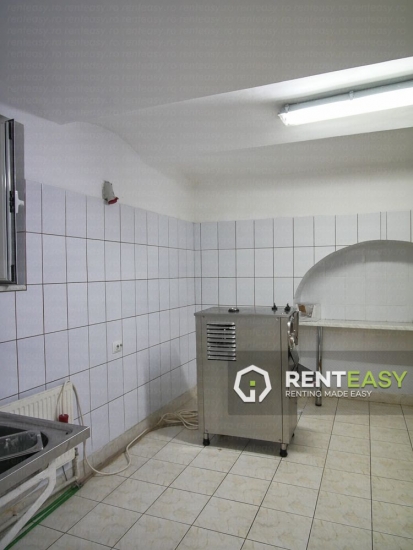 Spatiu pentru Productie de Inchiriat in Copou - Sararie