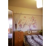 Apartament cu 3 camere de vanzare in Pacurari