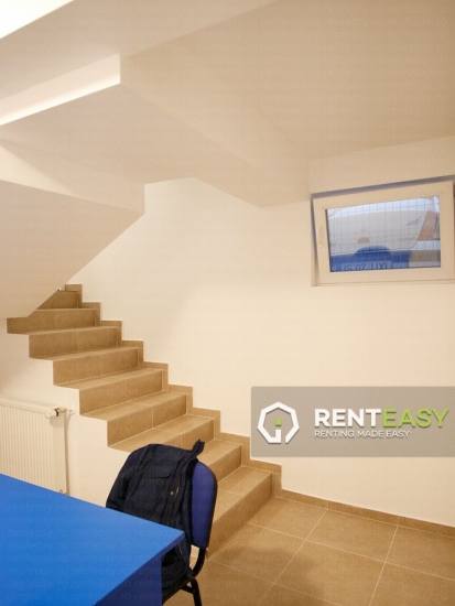 Apartament cu 1 camera la demisol, dormitor si living open space cu bucataria, intrare separata