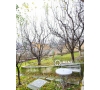 VIla 300 mp de vanzare in Visan