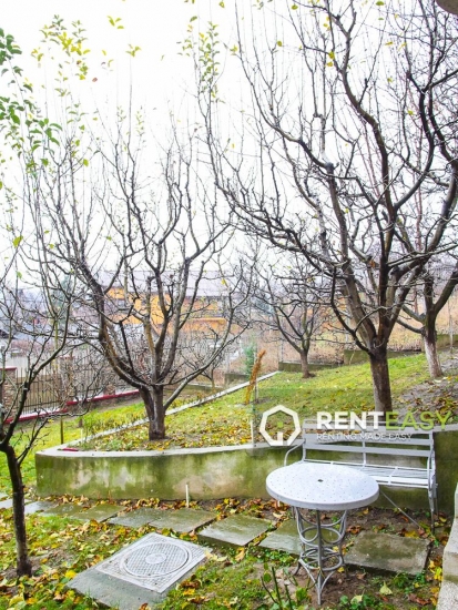 VIla 300 mp de vanzare in Visan