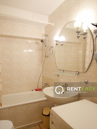 Apartament 1 Camera pentru Inchiriat in Centru - Hala Centrala