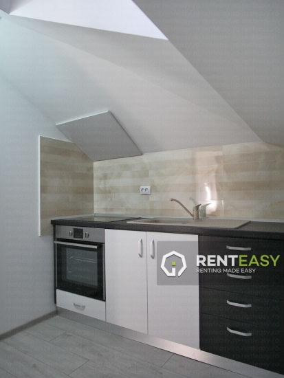 Apartament cu o Camera de Inchiriat in Copou