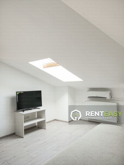 Apartament cu 1 Camera pentru Inchiriat in zona Copou