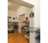 Vila cu 4 Camere de Inchiriat in Copou