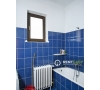 Vila cu 4 Camere de Inchiriat in Copou