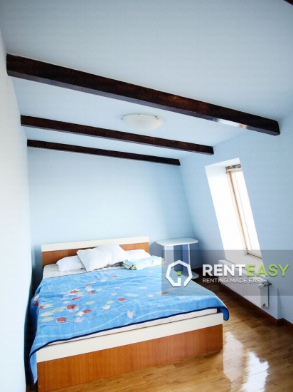 Vila cu 7 Dormitoare de Inchiriat in zona Copou
