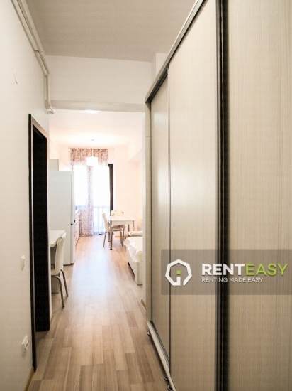 Apartament 1 Camera de Inchiriat in Pacurari - Bloc nou