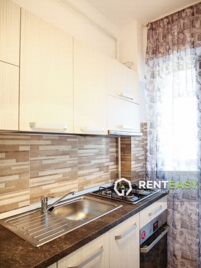 Apartament 1 Camera de Inchiriat in Pacurari - Bloc nou