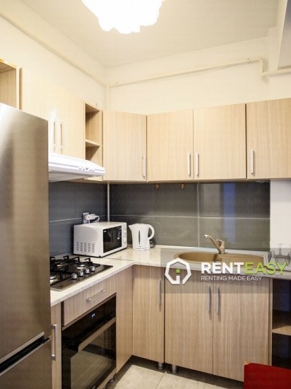 Apartament 1 Camera de inchiriat in Tatarasi