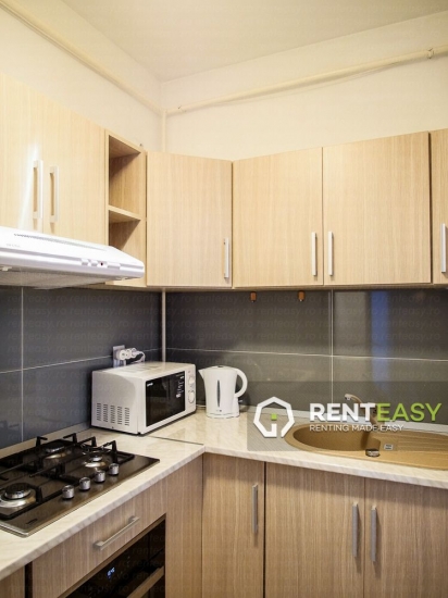 Apartament 1 Camera de inchiriat in Tatarasi