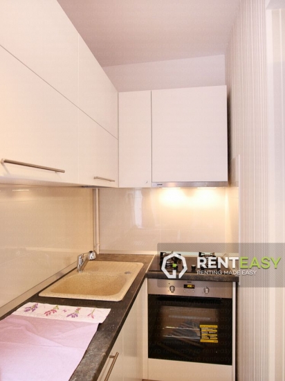Apartament cu 3 Camere de Inchiriat in Centru - Palas