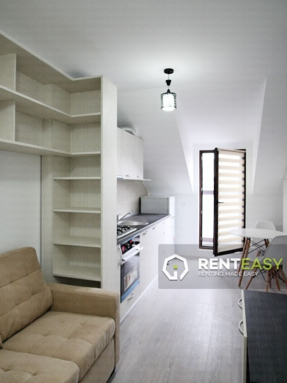 Apartament cu 1 Camera pentru Inchiriat in Centru langa Palas