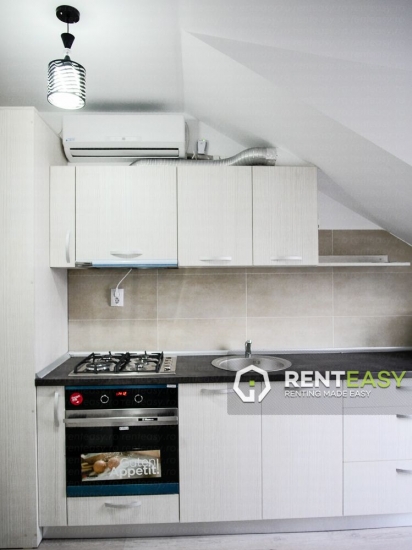 Apartament cu 1 Camera pentru Inchiriat in Centru langa Palas