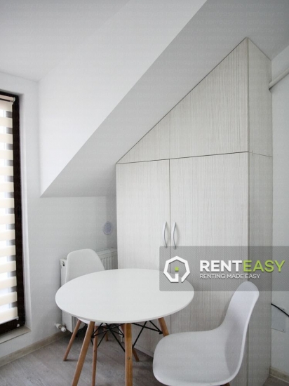 Apartament cu 1 Camera pentru Inchiriat in Centru langa Palas
