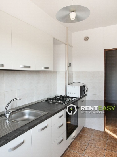 Apartament cu 1 Camera de Inchiriat in Tatarasi - Oancea