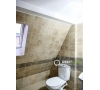 ApartaApartament cu 4 Camere de Inchiriat la Vila in Copoument cu 3 Camere de Inchiriat la Vila in Copou
