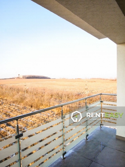 Apartament cu 2 Camere pentru Inchiriat in Copou - Agronomie