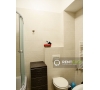 Apartament cu o Camera pentru Inchiriat in Centru - Palas