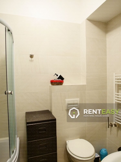 Apartament cu o Camera pentru Inchiriat in Centru - Palas