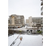 Apartament cu 3 Camere de Inchiriat in zona Hala Centrala
