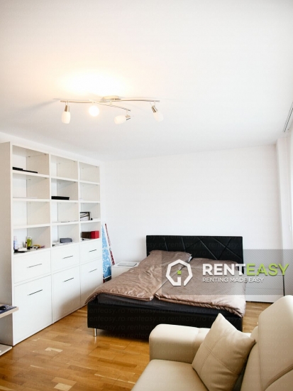 Apartament 1 Camera in Bloc nou - Podul de Fier