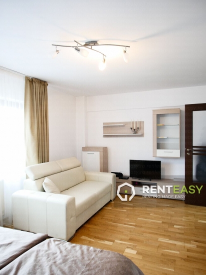 Apartament 1 Camera in Bloc nou - Podul de Fier