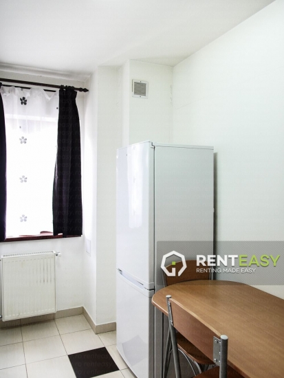 Apartament 1 Camera in Bloc nou - Podul de Fier