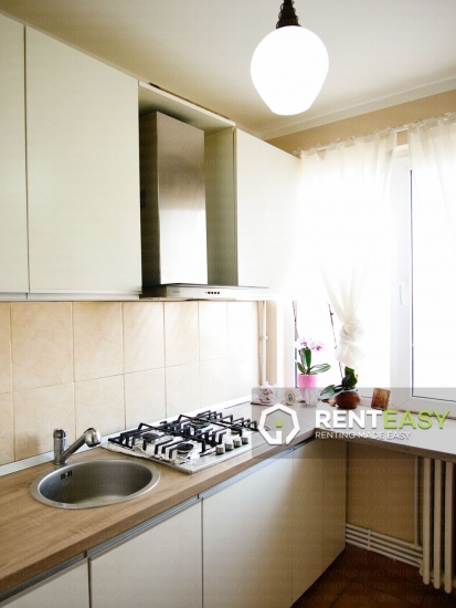 Apartament cu 2 Camere in Podul Ros pentru Inchiriat
