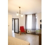 Apartament cu 1 Camera pentru Inchiriat Central