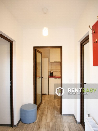 Apartament cu 1 Camera pentru Inchiriat Central