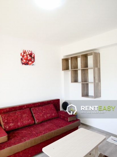 Apartament cu 1 Camera pentru Inchiriat in Pacurari