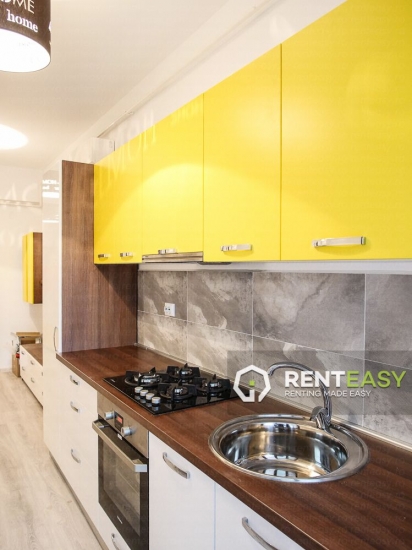 Apartament cu 1 Camera pentru Inchiriat in Pacurari - Bloc nou