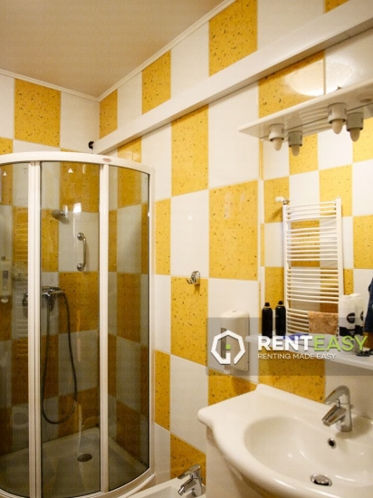 Vila de lux pentru Inchiriat in zona Tatarasi