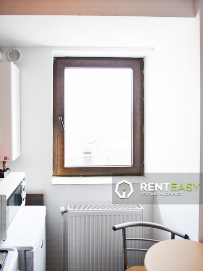 Apartament cu o camera pentru inchiriat in zona Mitropolie - Sfantul Andrei