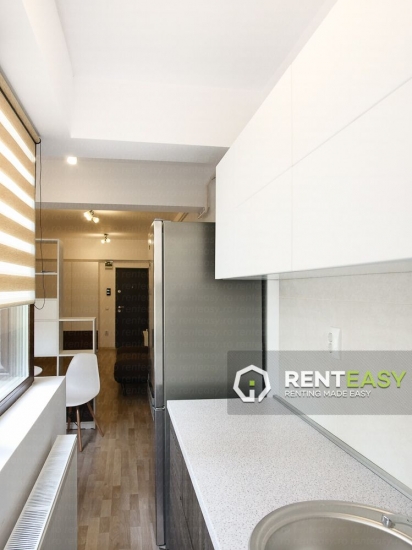 Apartament in bloc nou cu 2 camere pentru inchiriat in Centru - Palas 