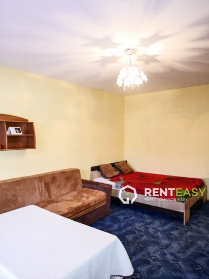 Apartament cu o camera pentru inchiriat in Podul de Fier