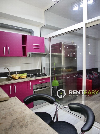 Apartament cu 1 camere de Inchiriat in Tatarasi - Bloc nou