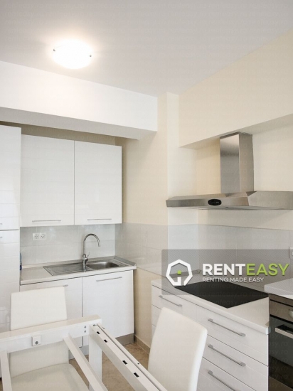Apartament de lux cu 2 camere in zona Copou de inchiriat