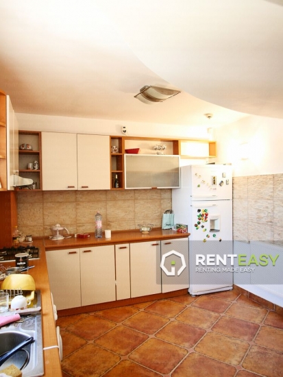 Penthouse ultracentral 130 mp de inchiriat