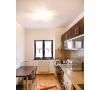 Apartament 2 camere de inchiriat in zona Hala Centrala