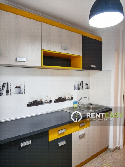 Apartament de lux cu 2 camere de inchiriat in Centru - Palas
