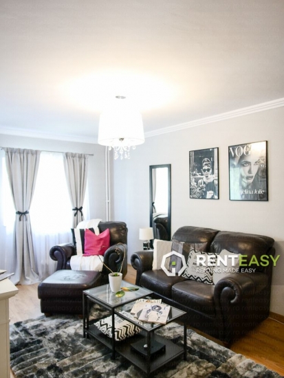 Apartament de lux cu 2 camere de inchiriat in Centru - Palas
