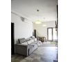 Apartament cu 2 camere de inchiriat in Lazar Resindence - Palas