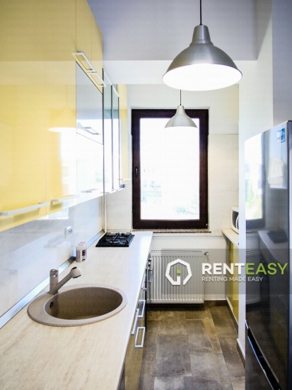 Apartament cu 2 camere de inchiriat in Lazar Resindence - Palas