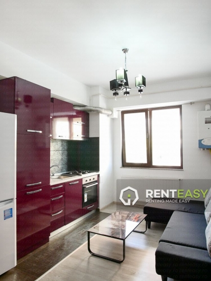 Apartament cu o camera de inchiriat in Lazar Residence - Palas
