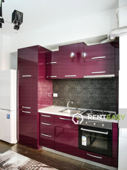 Apartament cu o camera de inchiriat in Lazar Residence - Palas