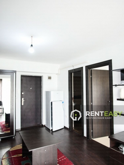 Apartament cu o camera de inchiriat in zona Mitropolie - Sfantul Andrei
